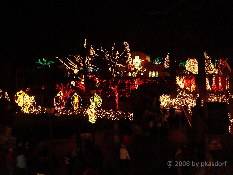 025 Toledo Zoo Light Show [2008 Dec 27].JPG - Scenes from the Toledo Zoo Light Show.